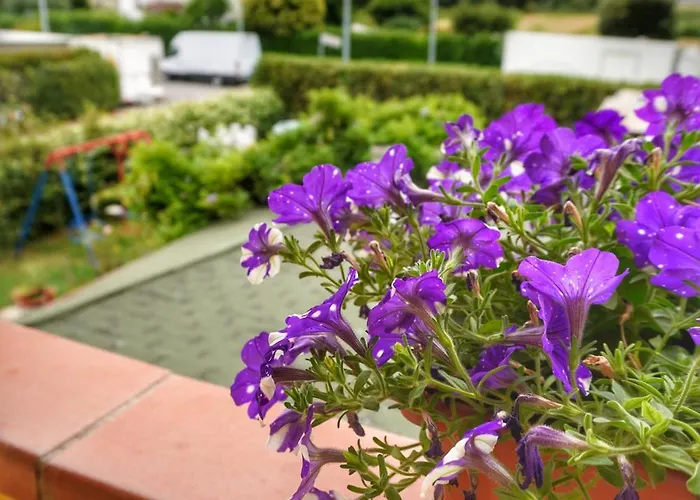 Locazione Turistica Villa Giovanna